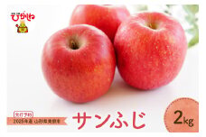【2025年産 先行予約】りんご「サンふじ」2kg JA提供 山形県 東根市　hi003-136-1