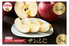 【2025年産 先行予約】 りんご「【横綱】サンふじ」5kg JA提供 山形県 東根市 hi003-140-1