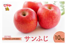 【2025年産 先行予約】りんご「サンふじ」10kg JA提供 山形県 東根市　hi003-139-1