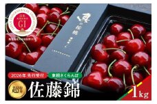 【2026年産　先行予約】真の桜桃 佐藤錦 超特秀 1kg 山形県 東根市　hi062-049