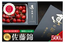 【2025年産　先行予約】真の桜桃 佐藤錦 超特秀 500g 山形県 東根市　hi004-hi062-033-1