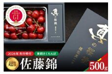 【2026年産　先行予約】真の桜桃 佐藤錦 超特秀 500g 山形県 東根市　hi062-048
