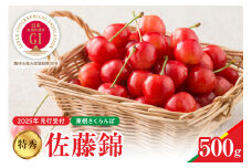 【2025年産　先行予約】真の桜桃 佐藤錦 特秀 500g 山形県 東根市　hi004-hi062-035-1