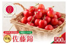 【2026年産　先行予約】真の桜桃 佐藤錦 特秀 500g 山形県 東根市　hi062-046