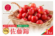 【2025年産　先行予約】真の桜桃 佐藤錦 特秀 1kg 山形県 東根市　hi004-hi062-034-1