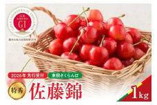 【2026年産　先行予約】真の桜桃 佐藤錦 特秀 1kg 山形県 東根市　hi062-047