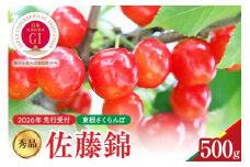 【2026年産　先行予約】佐藤錦 秀品 500g 山形県 東根市　hi062-044