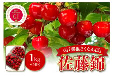 【2025年産 数量限定】GI「東根さくらんぼ」佐藤錦 1kgバラ詰め みのる果樹園提供 hi063-002-1