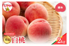 【2025年産　先行予約】白桃 品種おまかせ 秀品2kg(硬め) 山形県 東根市　hi004-hi062-021-1