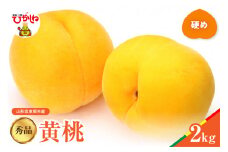 【2025年産　先行予約】黄桃 品種おまかせ 秀品2kg(硬め) 山形県 東根市　hi004-hi062-026-1
