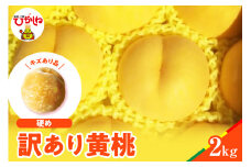 【2025年産　先行予約】黄桃 品種おまかせ 訳あり2kg(硬め) 山形県 東根市　hi004-hi062-028-1