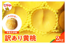 【2025年産　先行予約】黄桃 品種おまかせ 訳あり2kg(やわらかめ) 山形県 東根市　hi004-hi062-029-1