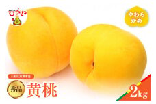 【2025年産　先行予約】黄桃 品種おまかせ 秀品2kg(やわらかめ) 山形県 東根市　hi004-hi062-027-1