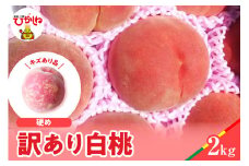 【2025年産　先行予約】白桃 品種おまかせ 訳あり2kg(硬め) 山形県 東根市 hi004-hi062-023-1