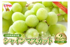 2025年産シャインマスカット 約2kg（2～3房）山形県 東根市 笑ちゃん果樹園提供 hi065-004-1