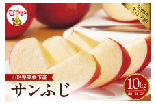 【2025年 先行予約】2025年産 りんご サンふじ 約10kg(32～36玉入) 山形県 東根市　hi026-014-1