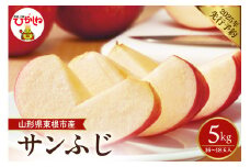 【2025年 先行予約】2025年産 りんご サンふじ 約5kg (16～18玉入) 山形県 東根市　hi026-013-1