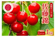 さくらんぼ「佐藤錦」１㎏バラ詰め 小山田果樹園 山形県 東根市 hi004-hi067-001