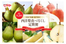 【令和7年産 先行予約 5回定期便】西洋梨食べ尽くし定期便 東根農産センター提供 hi027-201-1
