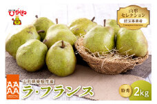 【令和7年産 先行予約】山形セレクション　ラ・フランス 2kg 山形県 東根市 hi069-008-1