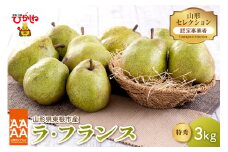 【令和7年産 先行予約】山形セレクション　ラ・フランス 3kg 山形県 東根市 hi069-009-1
