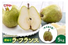 【令和7年産 先行予約】山形 ラ・フランス 家庭用（訳あり）5kg 山形県 東根市 hi069-012-1