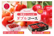 【2025年産 先行予約】東根さくらんぼ　ダブルコースpart2（佐藤錦加温500g、紅秀峰800g） 山形県 東根市 hi001-036-1