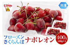 フローズンさくらんぼ「ナポレオン」200g入×2P 有限会社佐藤錦提供 山形県 東根市 hi004-hi029-028