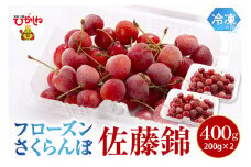 フローズンさくらんぼ「佐藤錦」200g入×2P 有限会社佐藤錦提供 山形県 東根市 hi004-hi029-032