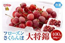 フローズンさくらんぼ「大将錦」200g入×2P 有限会社佐藤錦提供 山形県 東根市 hi004-hi029-029