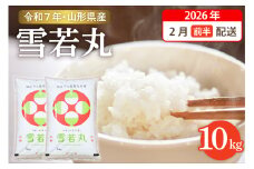 【令和7年産米】☆2026年2月前半発送☆ 雪若丸 10kg（5kg×2袋）山形県 東根市産　hi003-148-021-1