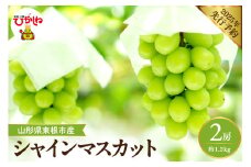 【2025年 先行予約】2025年産　シャインマスカット 約1.2kg (2房入) 山形県 東根市　hi026-007-1
