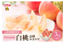 【2025年 先行予約】やわらかめの白桃 約3kg (品種おまかせ7～12玉入) 山形県 東根市　hi026-008-1