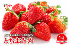 【令和8年産　先行予約】神町いちご（とちおとめ）12粒～15粒 山形県 東根市　hi069-015-1