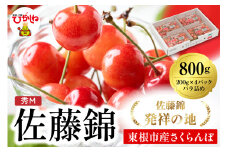 2025年 山形県東根市産さくらんぼ「佐藤錦」800g(200g×4ﾊﾟｯｸ)  東根農産センター提供 hi027-173-1