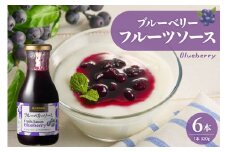 フルーツソース320g　ブルーベリー（6本）和歌山産業提供 山形県 東根市 hi070-001