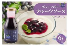 フルーツソース320g　ブルーベリー（6本）和歌山産業提供 山形県 東根市 hi070-001