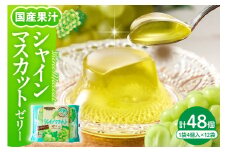 シャインマスカットゼリー1袋4個入×12袋 和歌山産業提供 山形県 東根市 hi070-007