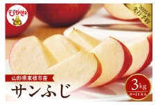 【2025年 先行予約】2025年産 りんご　サンふじ 約3kg (8～11玉入) 山形県 東根市　hi026-012-1