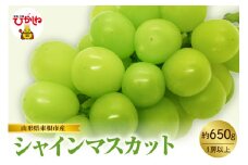 【2025年産　先行予約】山形県東根市産　シャインマスカット　約650ｇ　hi074-010-1