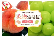 【2025年先行予約 全2回 定期便】東根市産 桃、シャインマスカット 果物定期便 （玉数、房数お任せ）　hi074-004-1