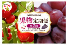 【2025年先行予約 全2回 定期便】東根市産 さくらんぼ「紅秀峰」、ブラックシャインマスカット「富士の輝」 果物定期便　hi074-003-1