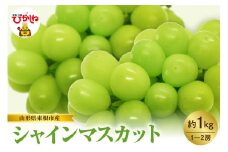 【2025年産　先行予約】山形県東根市産　シャインマスカット　約1kｇ　（1～2房）　hi074-008-1