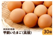 【山形県東根市産】 平飼いたまご 高擶 30個入 （破損補償含む）半澤鶏卵提供 山形 東根 hi071-001