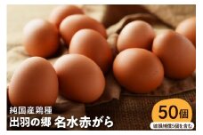【山形県東根市産】　出羽の郷名水赤がら50個入（破損補償5個を含む） 半澤鶏卵提供 山形 東根 hi071-003