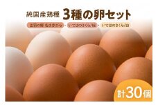 【山形県東根市産】 3種の卵セット【出羽の郷名水赤がら】・【いではのさくら　桜】・【いではのさくら　白】（破損補償含む）半澤鶏卵 山形 東根 hi071-004