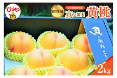 【2025年産　先行予約】真の果実 贈答用 黄桃2kg 山形県 東根市　hi004-hi062-025-1