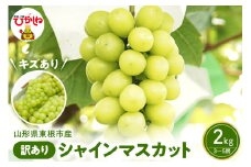 2025年ぶどう「訳ありシャインマスカット」2kg（3～5房）東根農産センター提供 山形県 東根市 hi027-182-1