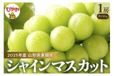【2025年 先行予約】ぶどう「シャインマスカット」1房 (約700g) 山形県 東根市 hi003-146-1