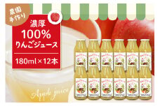 100％りんごジュース 180cc 12本セット 山形県 東根市 hi037-008